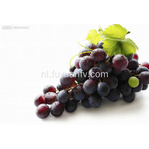 De beste verse rode druif van exportkwaliteit
